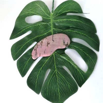 Cuidado de la Salud del Cuerpo Masaje Esencial Rhodochrosite Natural Gua Sha Mascarilla de raspado para la función de cuidado de la salud