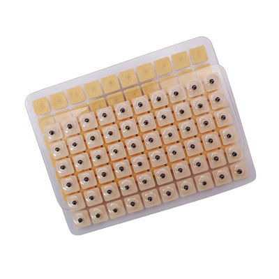 Agujas de acupuntura Masaje funcional 600 piezas/caja Semillas de prensa de oído desechables Kit de acupresión de semillas de oído multi-condición