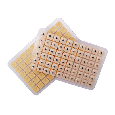 Agujas de acupuntura Masaje funcional 600 piezas/caja Semillas de prensa de oído desechables Kit de acupresión de semillas de oído multi-condición