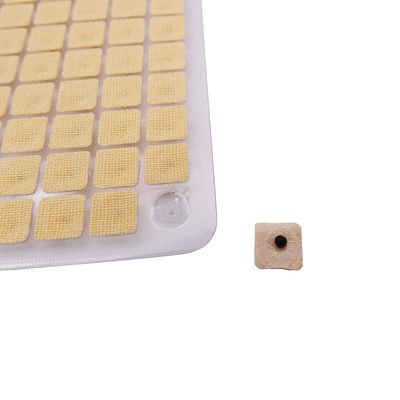 Agujas de acupuntura Masaje funcional 600 piezas/caja Semillas de prensa de oído desechables Kit de acupresión de semillas de oído multi-condición